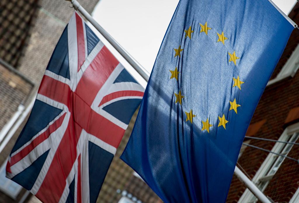 Den 24 juni röstade Storbritannien i en folkomröstning om att lämna EU. Arkivbild. (Foto: Lauren Hurley/TT/AP)