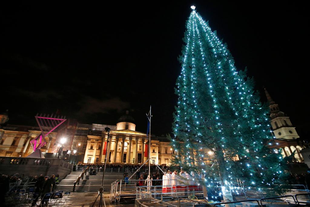 2013 års julgran på Trafalgar Square. Arkivbild. (Foto: Lefteris Pitarakis/AP/TT)