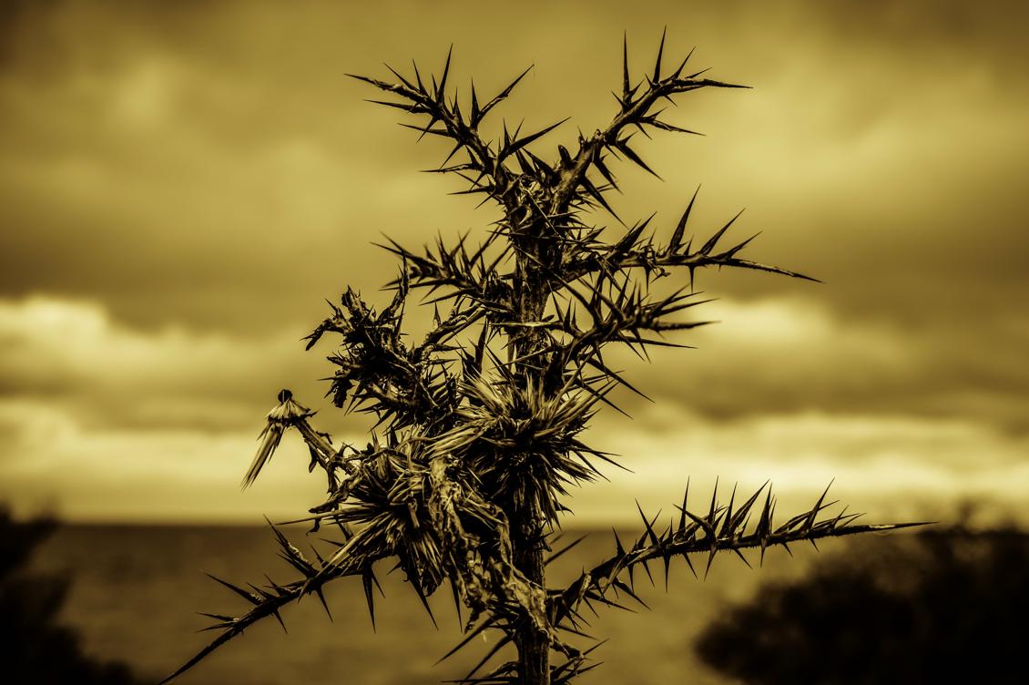 Enligt professor John E. Sarno, New York University School of Medicine, kan kronisk smärta ses som en mekanism som skyddar mot svåra och starka känslor.