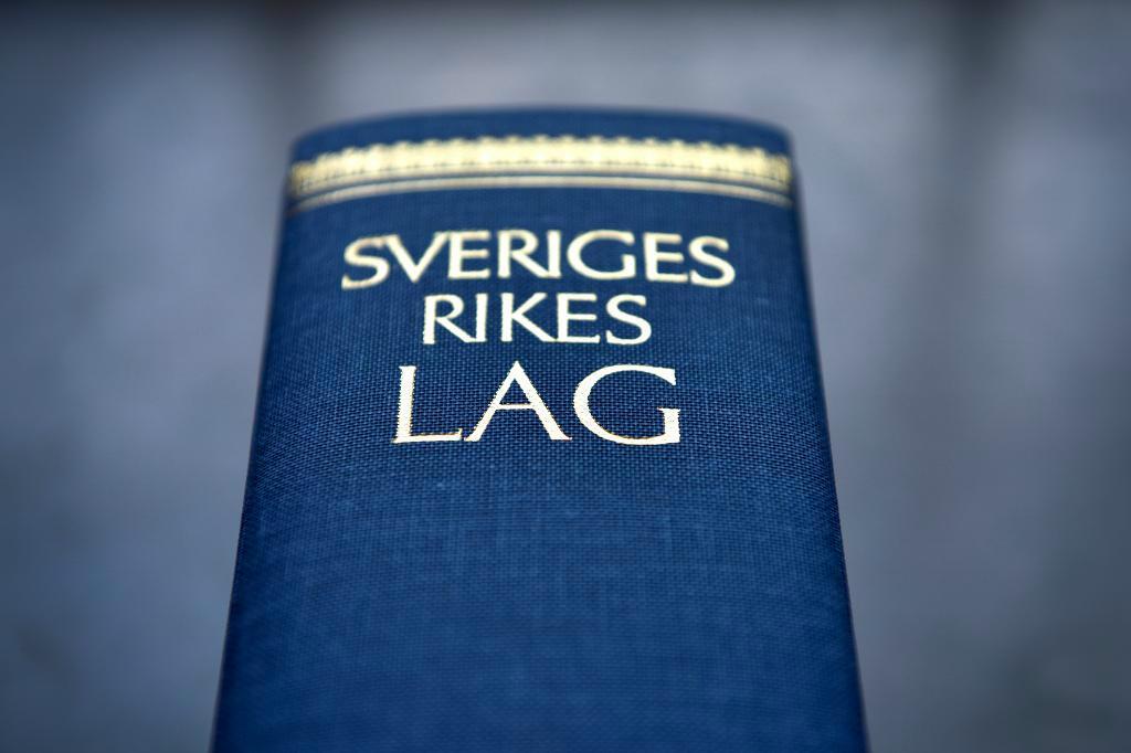 Riksdagen vill införa tillträdesförbud för människor som stjäl i butiker. Arkivbild. Foto: Anders Wiklund/TT