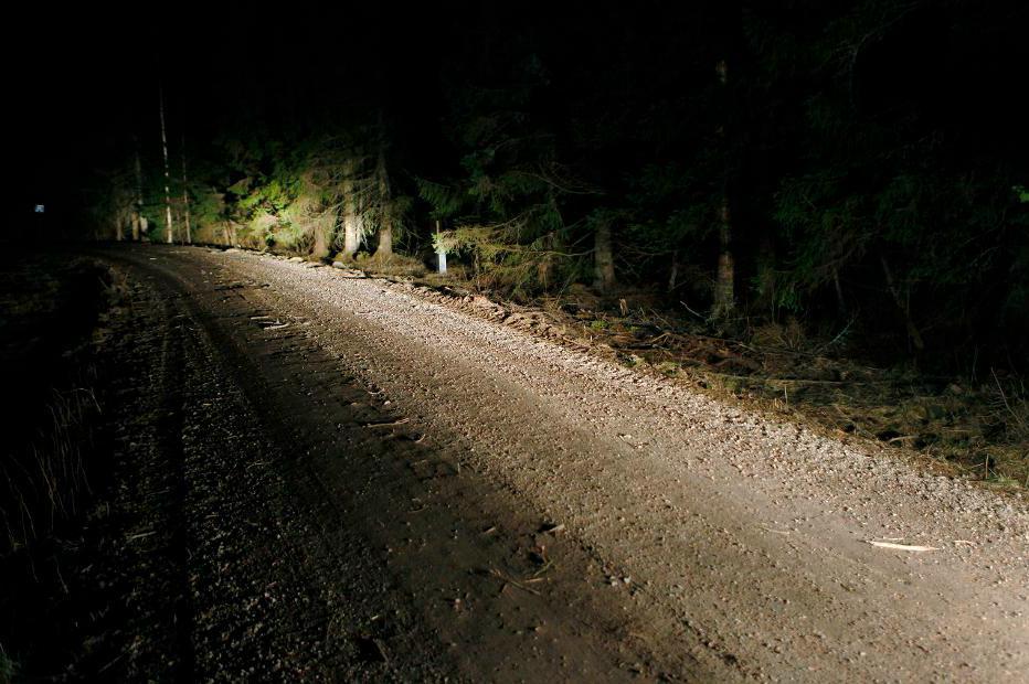 
Den döde mannen hittades vid en skogsväg vid Maj strax söder om Sundsvall. Foto: Mats Andersson/TT-arkivbild                                            