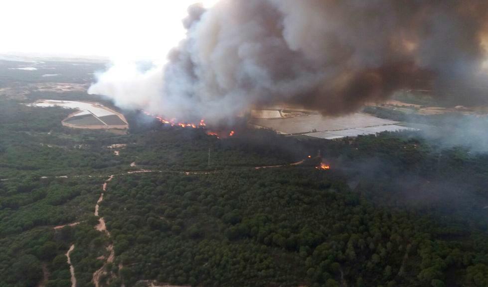 Skogsbranden som upptäcktes på lördagskvällen hotar nationalparken Doñana.
Foto: INFOCA via AP