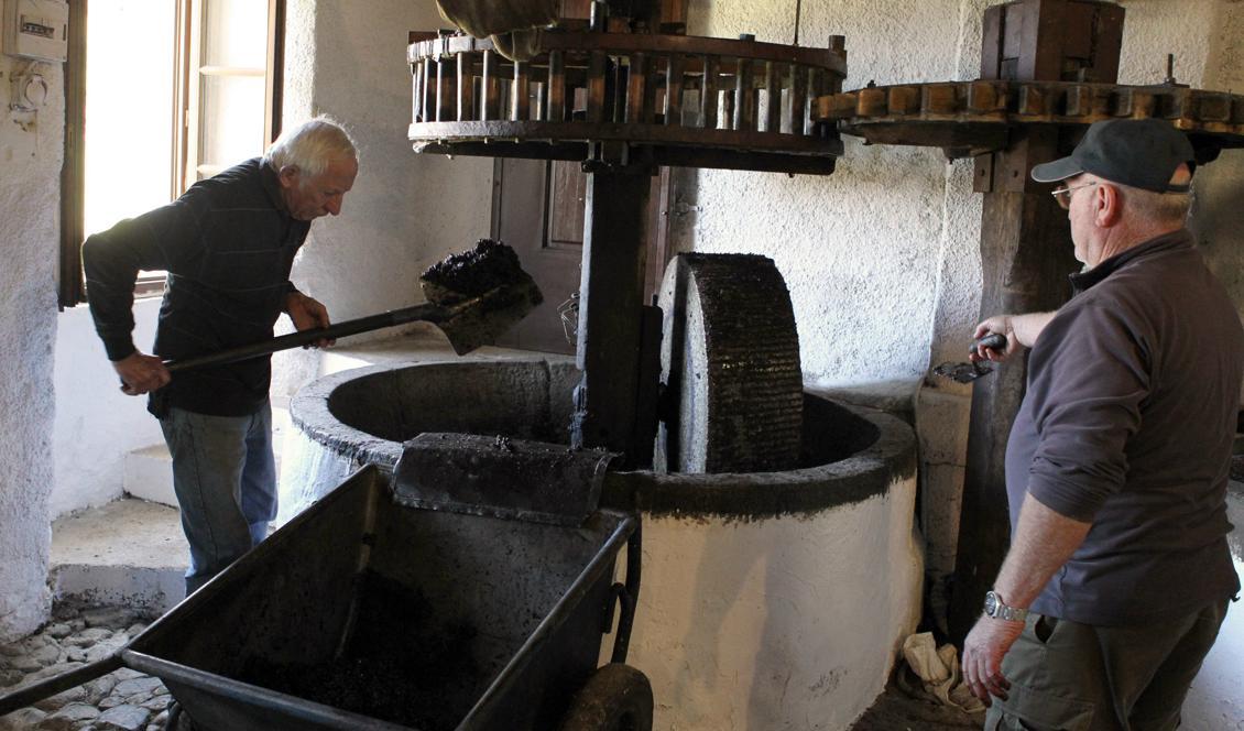 Tillverkning av olivolja i en 300år gammal kvarn. Numera används moderna metoder. Foto: Pascal Pochard-Casabianca/AFP/Getty Images