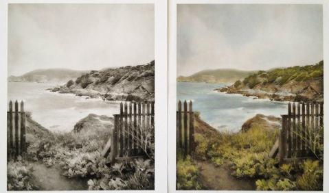 Före- och efterstudie av ett av Dianne Poinskis handmålat foton. Foto: Dianne Poinski