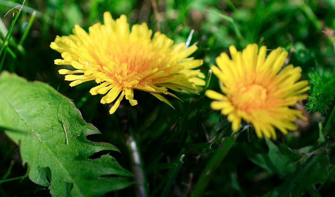 Foto: Alexandra De Paoli