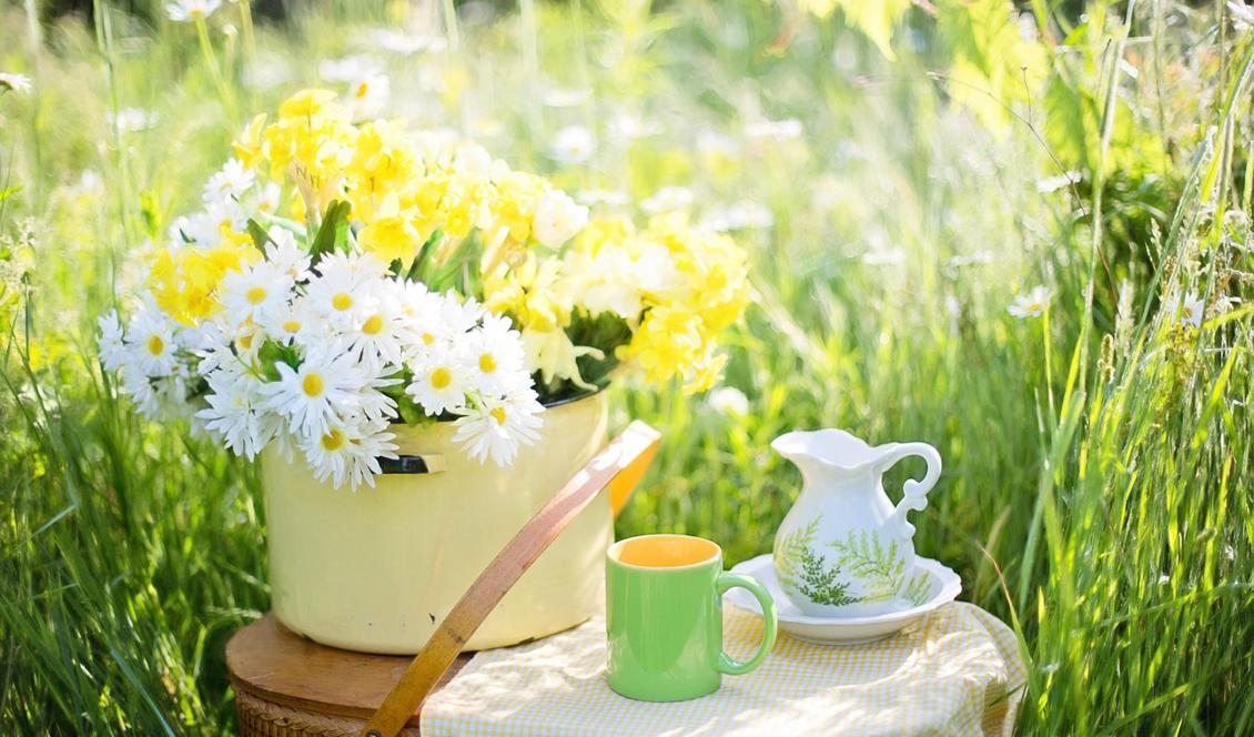 Maria Treben var en ”klok gumma” som använde sig av traditionella örtmedicinrecept som förts vidare i generationer i Tyskland och östra delarna av Europa.