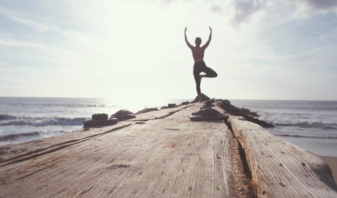 Foto: Marion Michele/Unsplash
