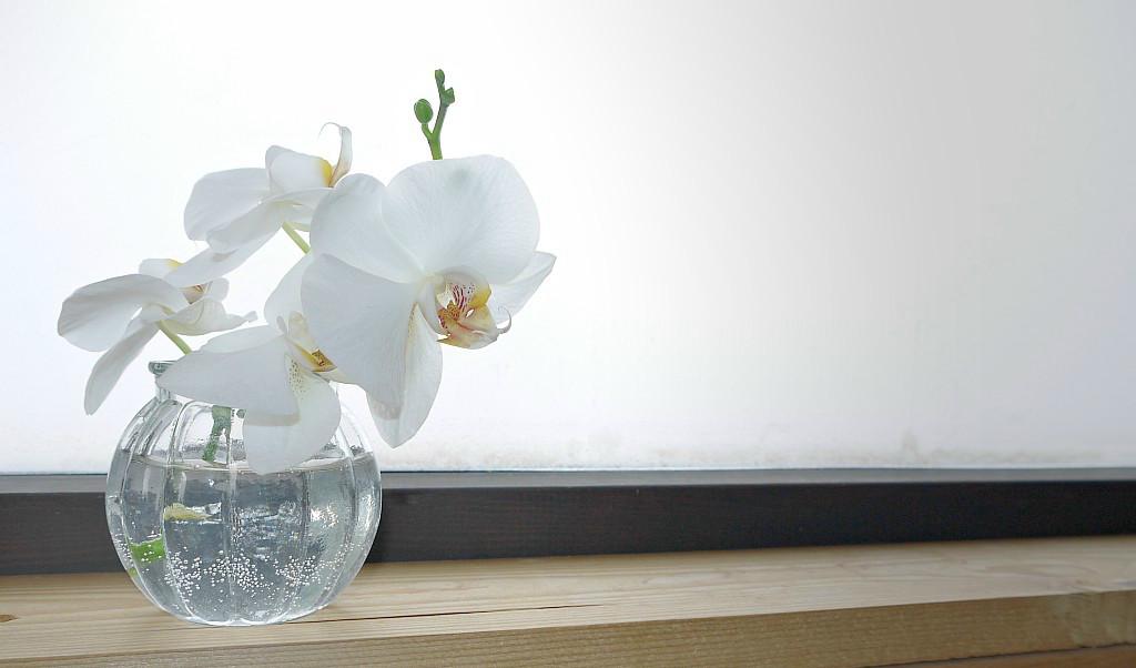 Foto: Sandra Junhammar