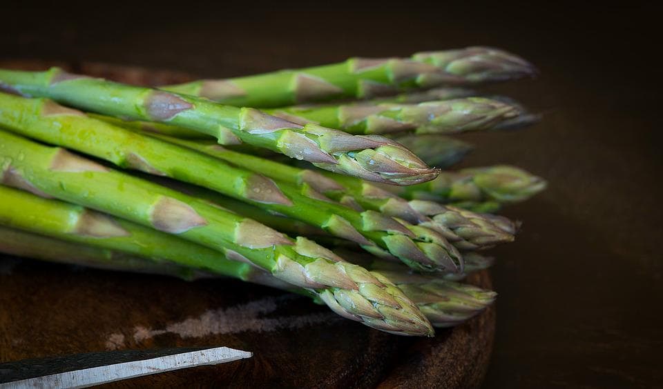 Sparris tillhör vårens primörer och är en mycket nyttig grönsak. Den förekommer naturligt i Europa, västra Asien och norra Afrika. Foto: Pixabay
