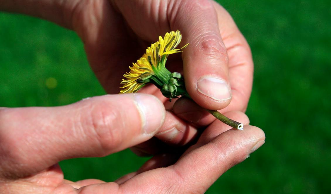 Foto: Alexandra De Paoli