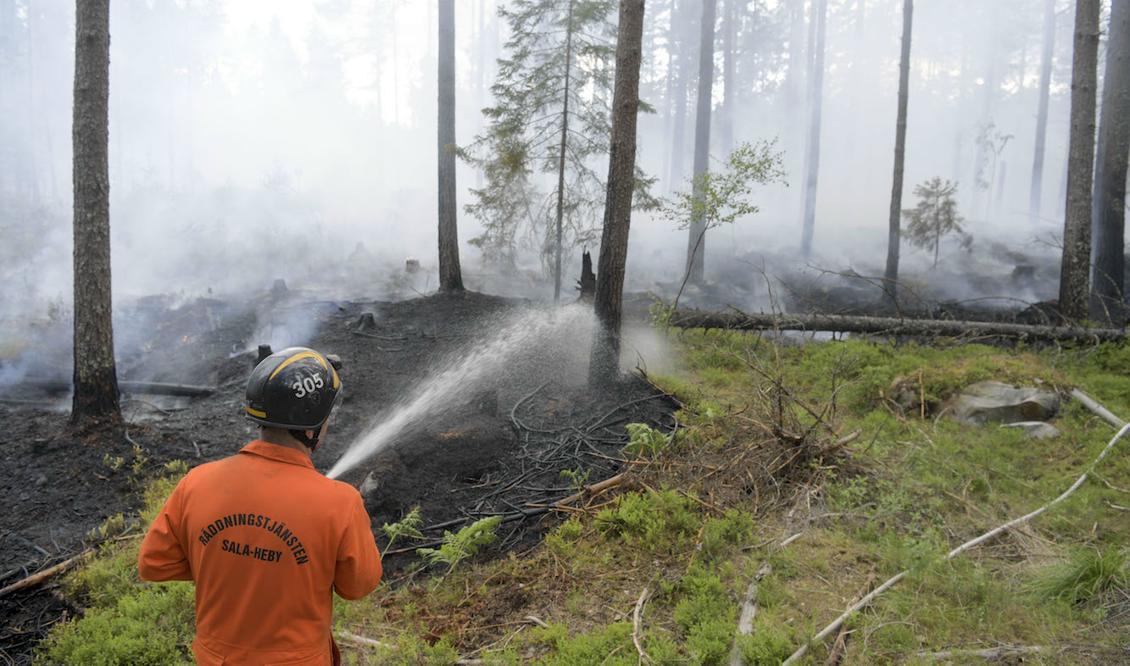 

Michael Andersson från Möklinta brandkår deltar i insatserna utanför Sala. Foto: Henrik Montgomery/TT                                                                                        