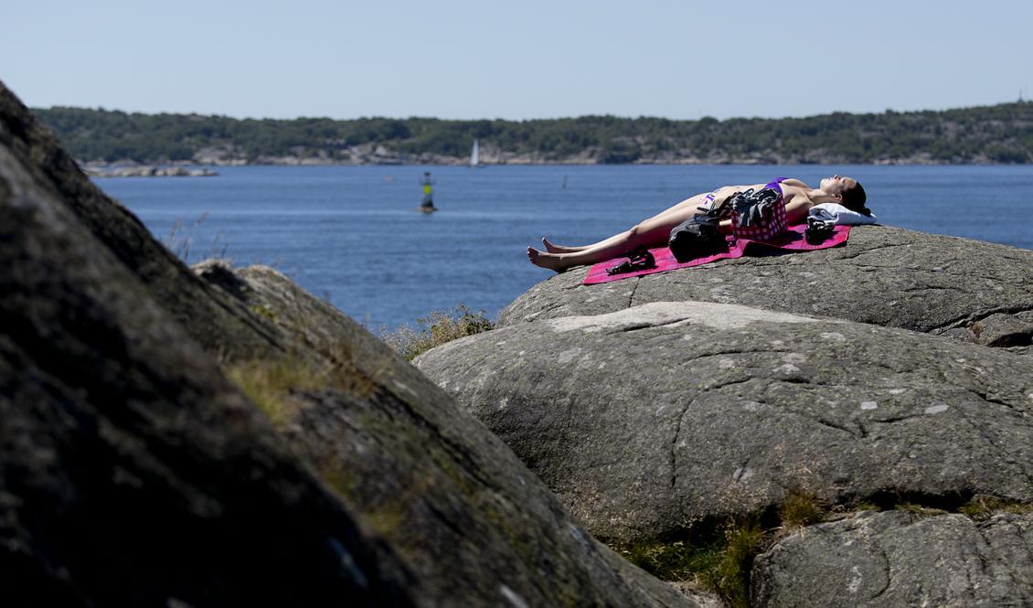 

Under de senaste månaderna har Sveriges väder präglats av sol, värme och torka – något som ser ut att fortsätta under resten av juli. Foto: Adam Ihse/TT/Arkivbild                                                                                        
