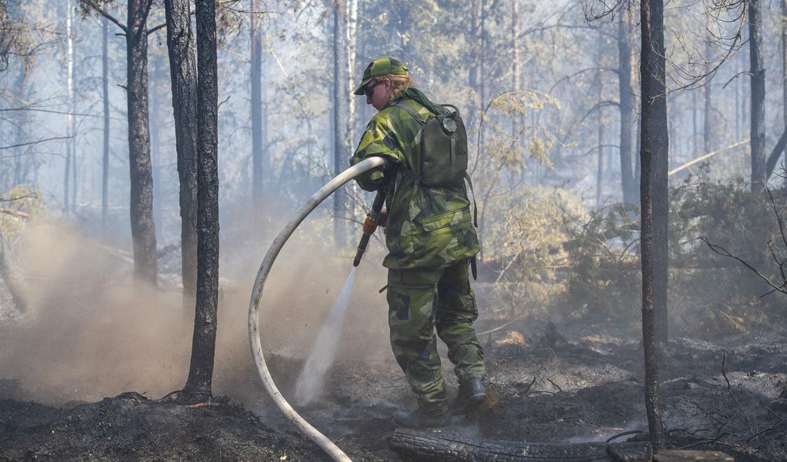 Det brinner på flera håll i skog och mark. Norr om Oskarshamn har räddningstjänsten nu omringat brandområdet. Foto: Suvad Mrkonjic/TT