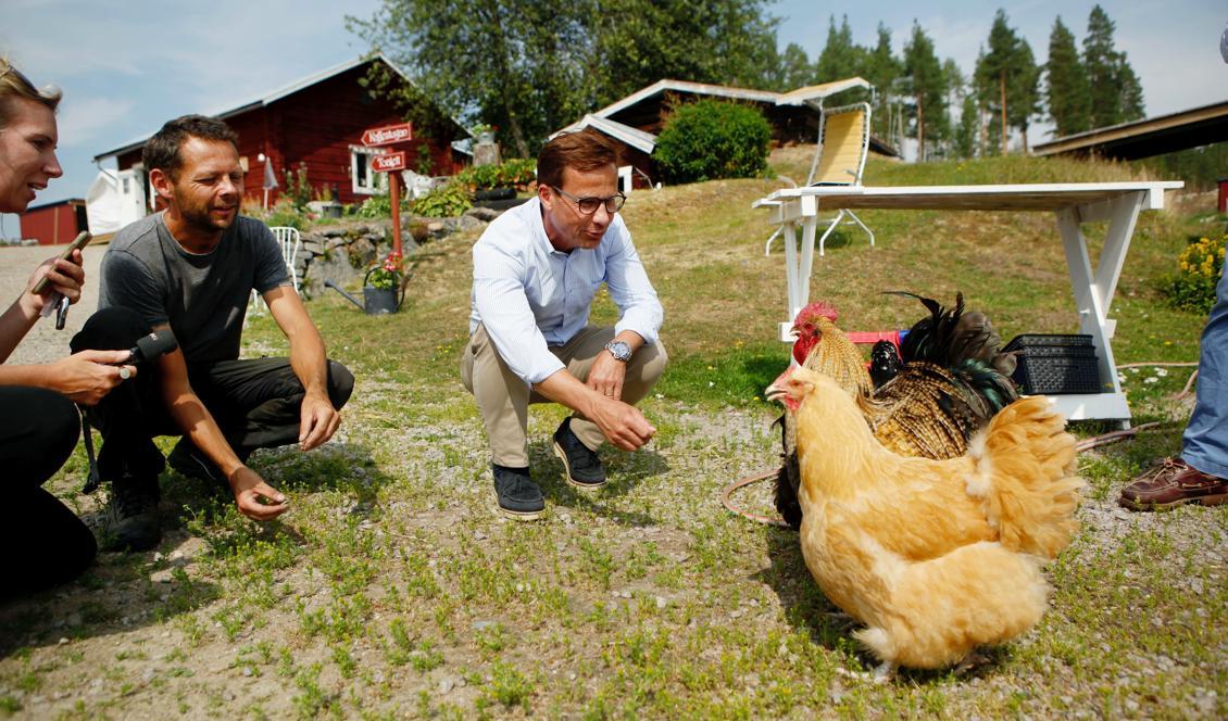 Moderaternas partiordförande Ulf Kristersson vill ha ett krispaket för jordbruket. Foto: Mats Andersson/TT