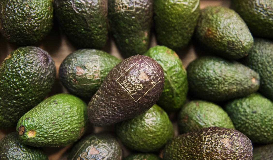 Priset på avokado har skjutit i höjden. Foto: Emil Langvad/TT-arkivbild