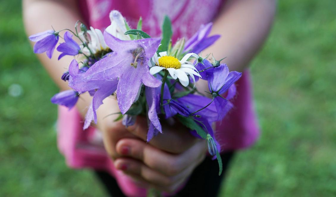 Lägg ner mer omsorg när du väljer blommor till buketten genom att tänka på deras betydelse.