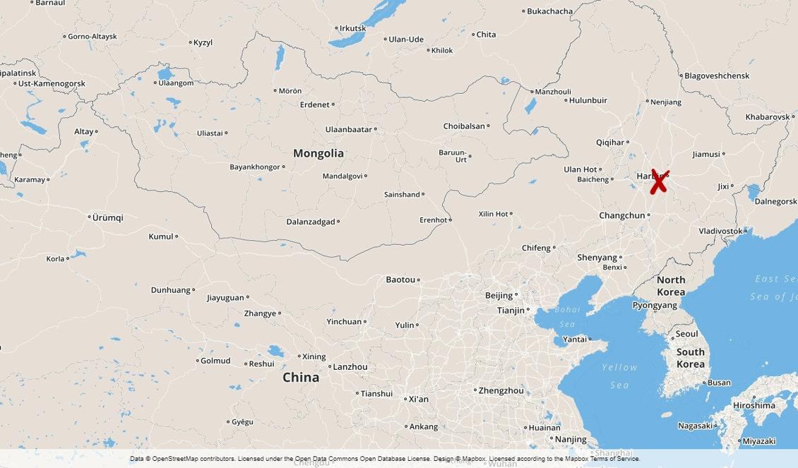 18 personer har omkommit efter en brand på ett hotell i Harbin i nordöstra Kina. Foto: TT