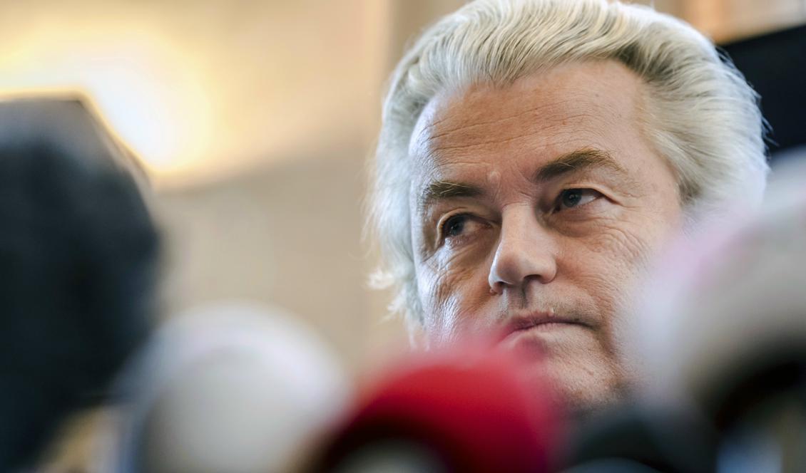 Geert Wilders. Foto: Geert Vanden Wijngaert/AP/TT-arkivbild