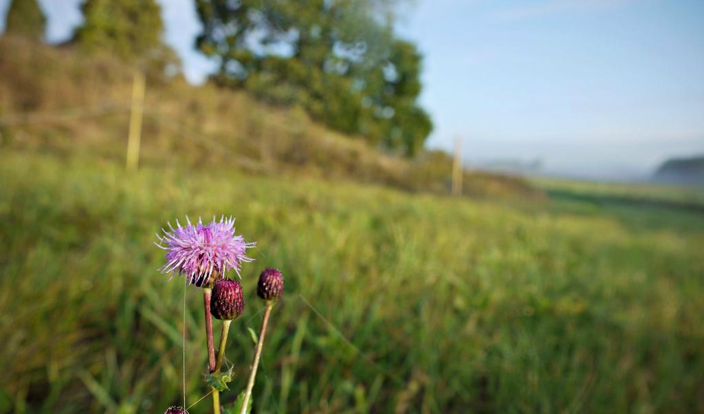 Foto: Sandra Junhammar