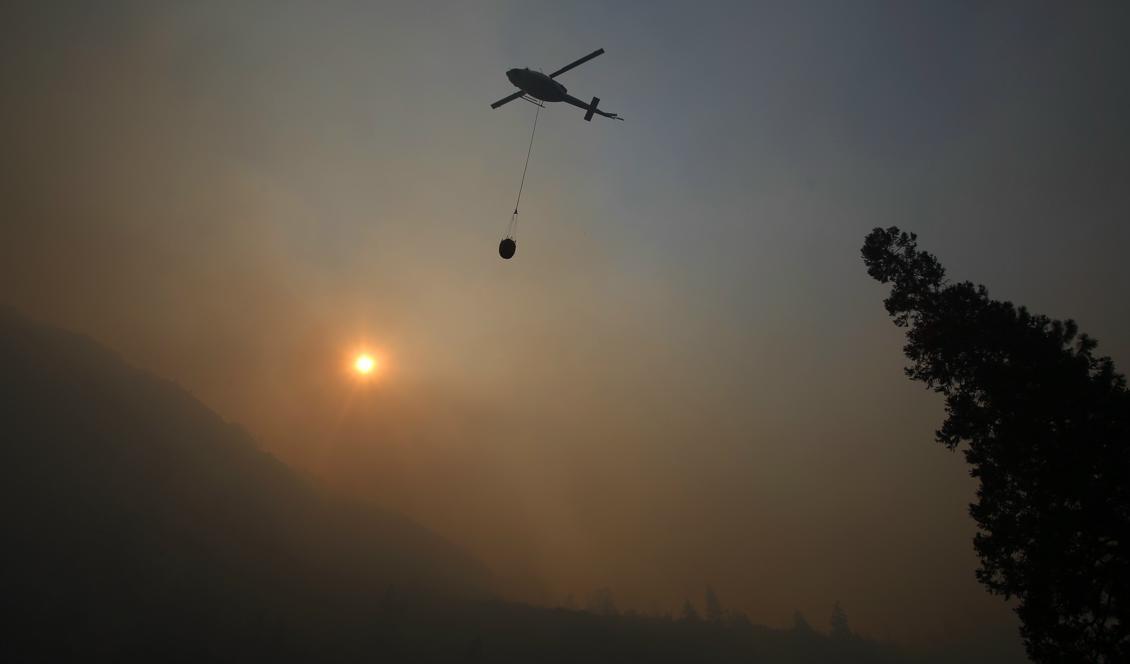 

Branden bekämpades av fler än 3 000 människor. Foto: Gary Kazanjian/AP/TT-arkivbild                                                                                        