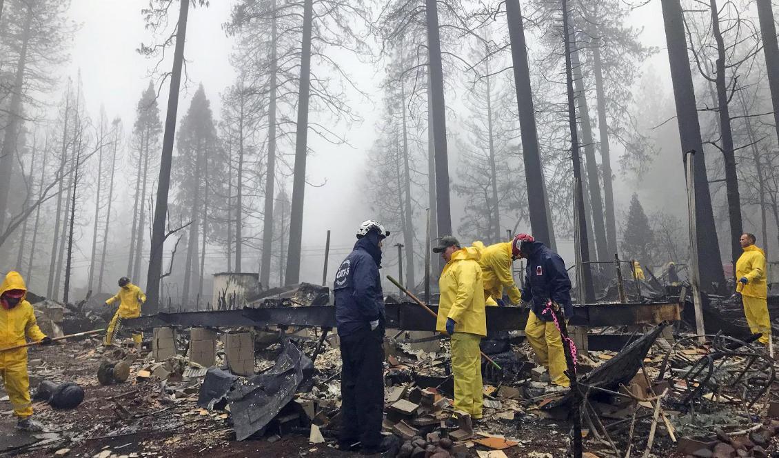 Kaliforniens dödliga skogsbrand är nu helt under kontroll. Foto: Kathleen Ronayne/AP/TT