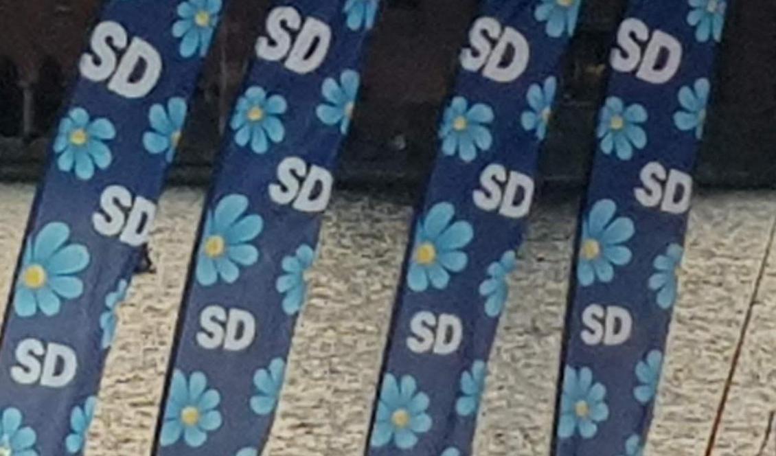 Sverigedemokraterna nekades hotell. Foto: Epoch Times-arkivbild