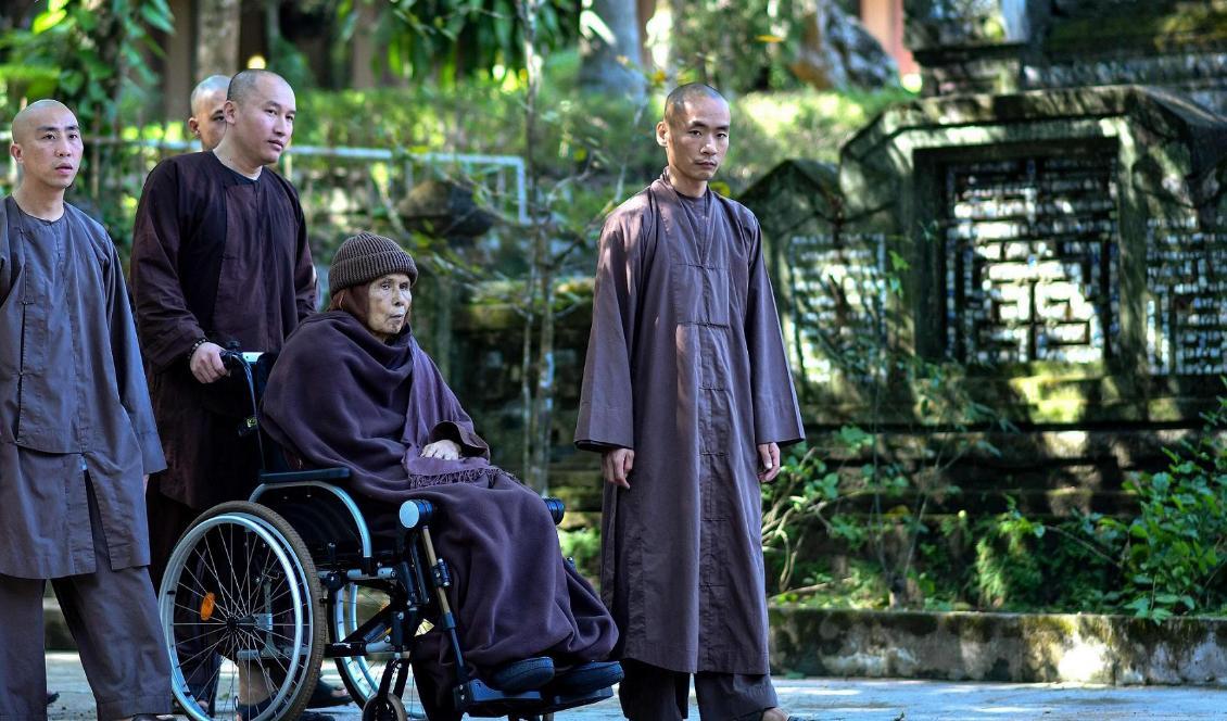 Buddhistmunken och författaren Thich Nhat Hanh på rullstolspromenad vid templet Tu Hieu i Hue i Vietnam. Foto: Manan Vatsyayana/AP/TT