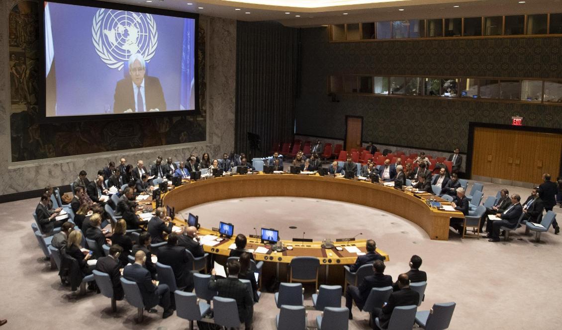FN:s säkerhetsråd under omröstningen om oberoende observatörer i Jemen på fredagen. Foto: Eskinder Debebe/AP/TT-arkivbild