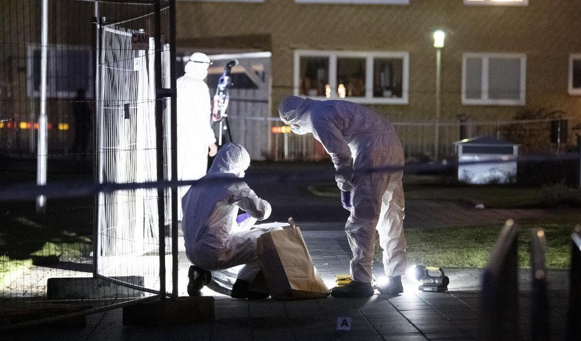 
Polisens kriminaltekniker undersöker området kring ett flerfamiljshus i Malmö. Foto: Johan Nilsson/TT                                                