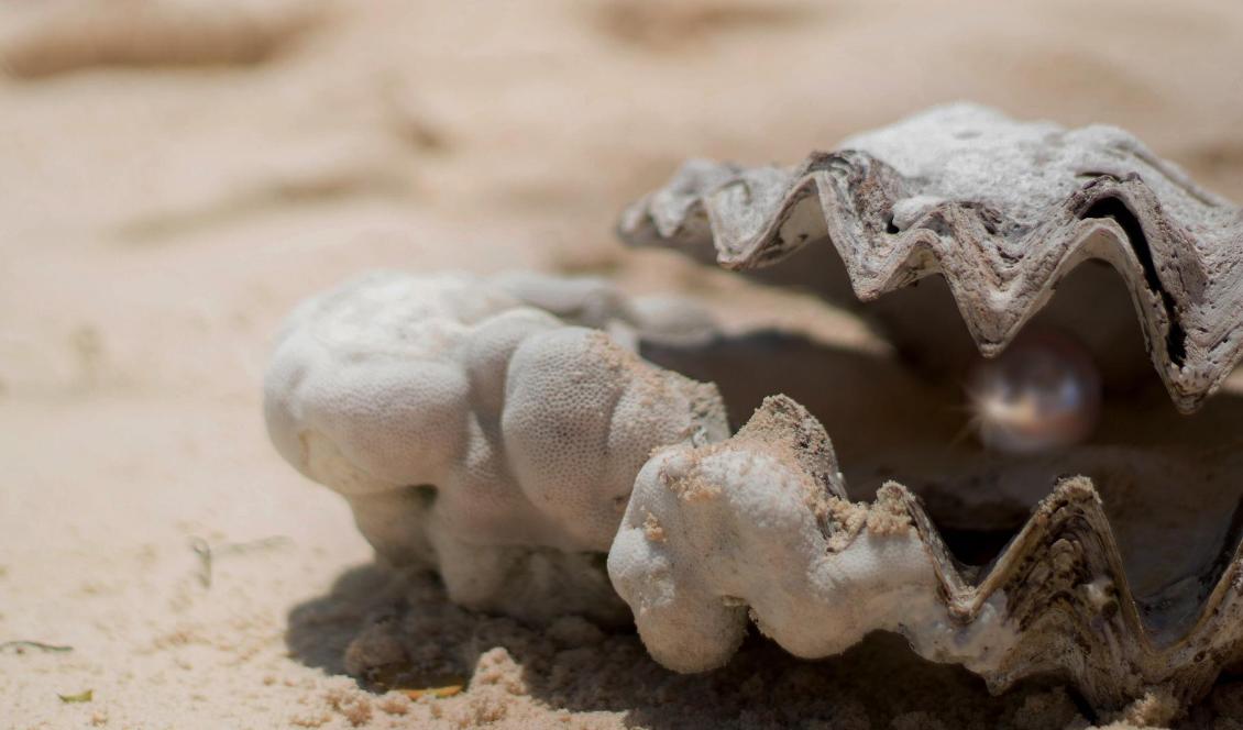Den här berättelsen handlar om en man som var omedveten om att han bar på visdomens pärla.