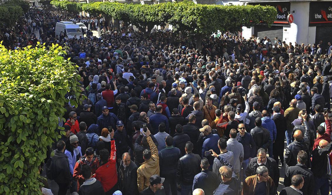 
Den demonstrerande folkmassan i huvudstaden Alger på söndagen. Foto: Guidoum Fateh/AP/TT                                                