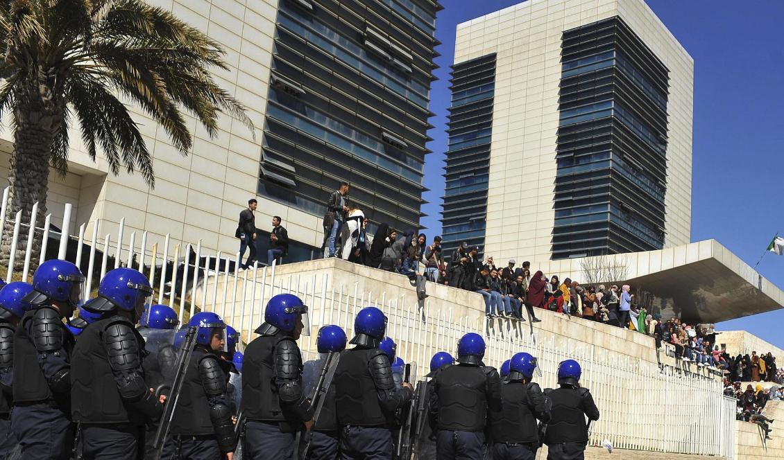 Kravallpolis grupperar sig i Alger, där tiotusentals människor protesterar mot regimen. Foto: Fateh Guidoum/AP/TT