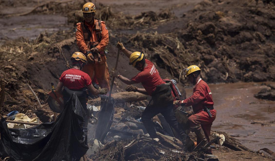 Räddningsarbetare letar efter offer i resterna av en bil som begravts i dammraset i Brumadinho, Brasilien. Foto: Leo Correa/AP/TT