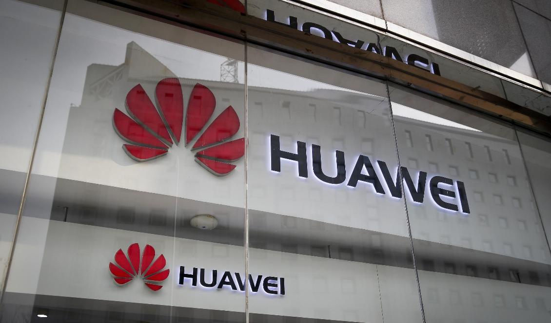 Sveriges regering överväger att förbjuda utrustning från den kinesiska IT-jätten Huawei. Foto: Andy Wong/TT