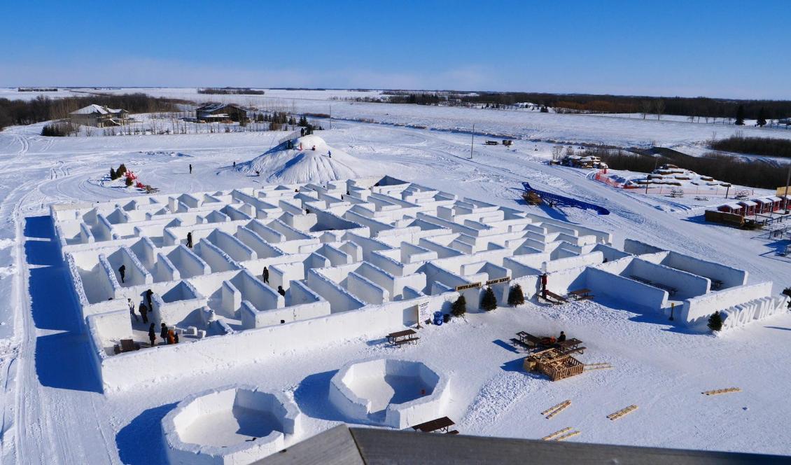 Människor letar sig runt världens största snölabyrint i kanadensiska St. Adolphe. Foto: Thibault Jourdan/AFP/TT