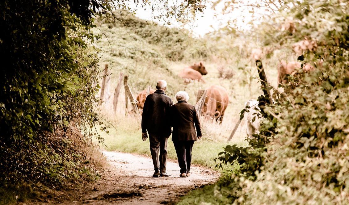 En kvarts promenad om dagen ger många fördelar för hälsan.