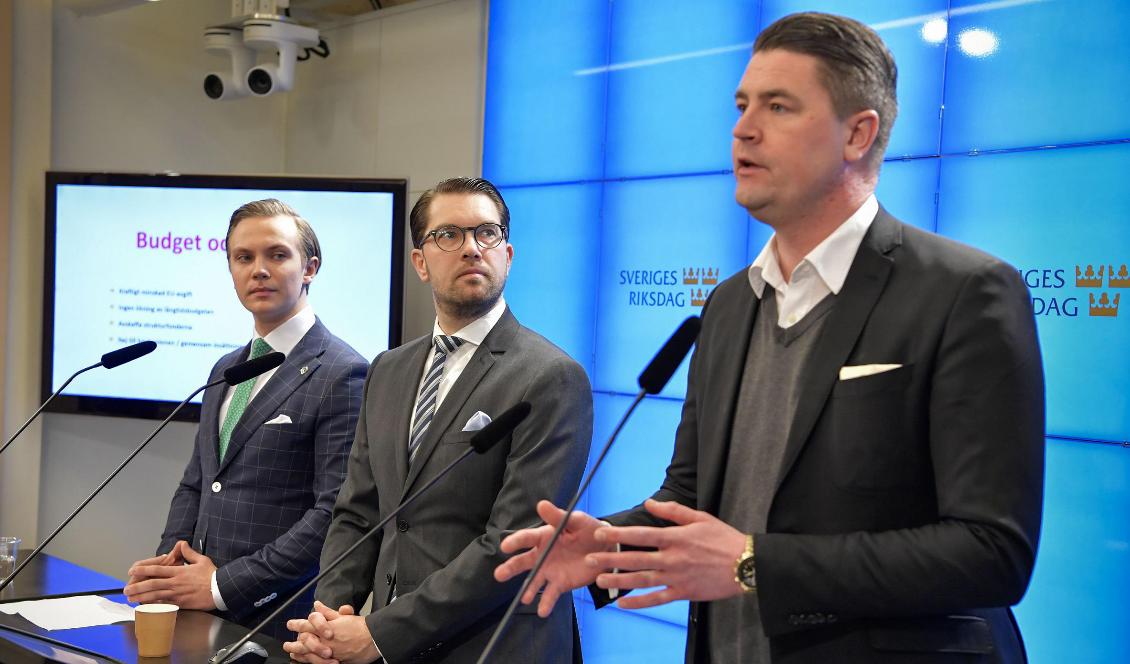 Tobias Andersson, handelspolitisk talesperson, Jimmie Åkesson och ekonomisk-politisk talesperson Oscar Sjöstedt. Foto: Jessica Gow/TT