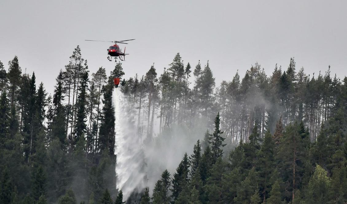 


Sverige kan bli norra Europas centrum för bekämpning av skogsbränder. Arkivbild från skogsbranden i Bräcke i fjol. Foto: Robert Henriksson/TT                                                                                                                                                