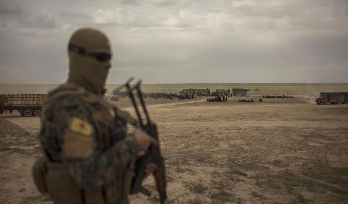 En av SDF:s milismän vaktar ett mottagningsområde för civila som evakuerats från al-Baghuz. Foto: Gabriel Chaim/AP/TT