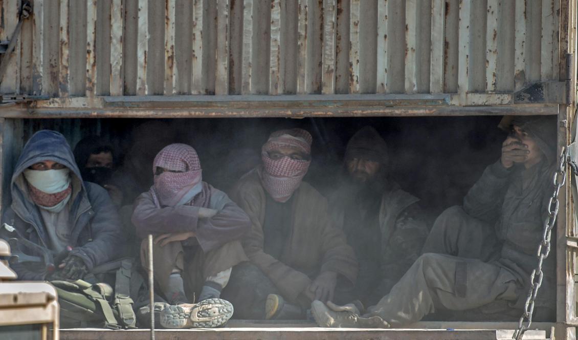 Jihadister har fångats av kurdiskledda SDF-milisen. Fotot är taget 20 februari 2019. Foto: Bulent Kilic/AFP/Getty Images