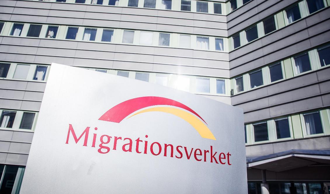 Migrationsverket står fast vid sin tidigare prognos för antalet asylsökande i Sverige. Foto: Adam Wrafter/SvD/TT-arkivbild