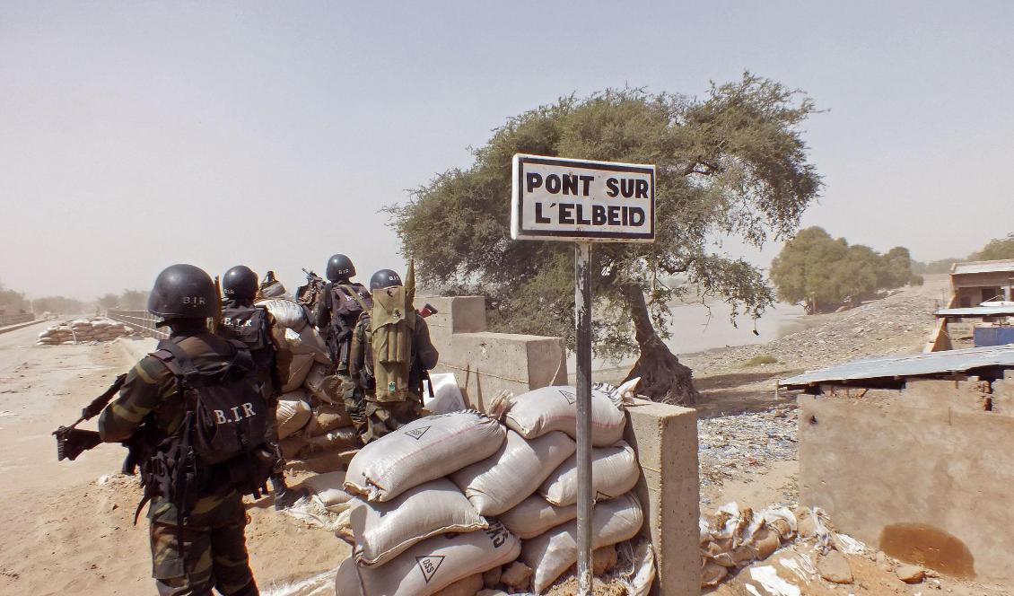 Soldater i Kamerun i insatser mot Boko Haram. Foto: Edwin Kindzeka Moki/AP/TT-arkivbild