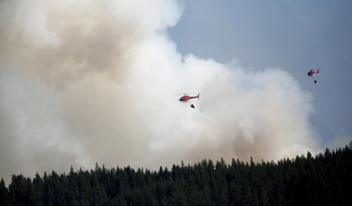 Det brinner kraftigt i skogarna i Gislavedstrakten. Bilden från en av förra sommarens stora skogsbränder utanför Hammarstrand. Mats Andersson/TT-arkivbild