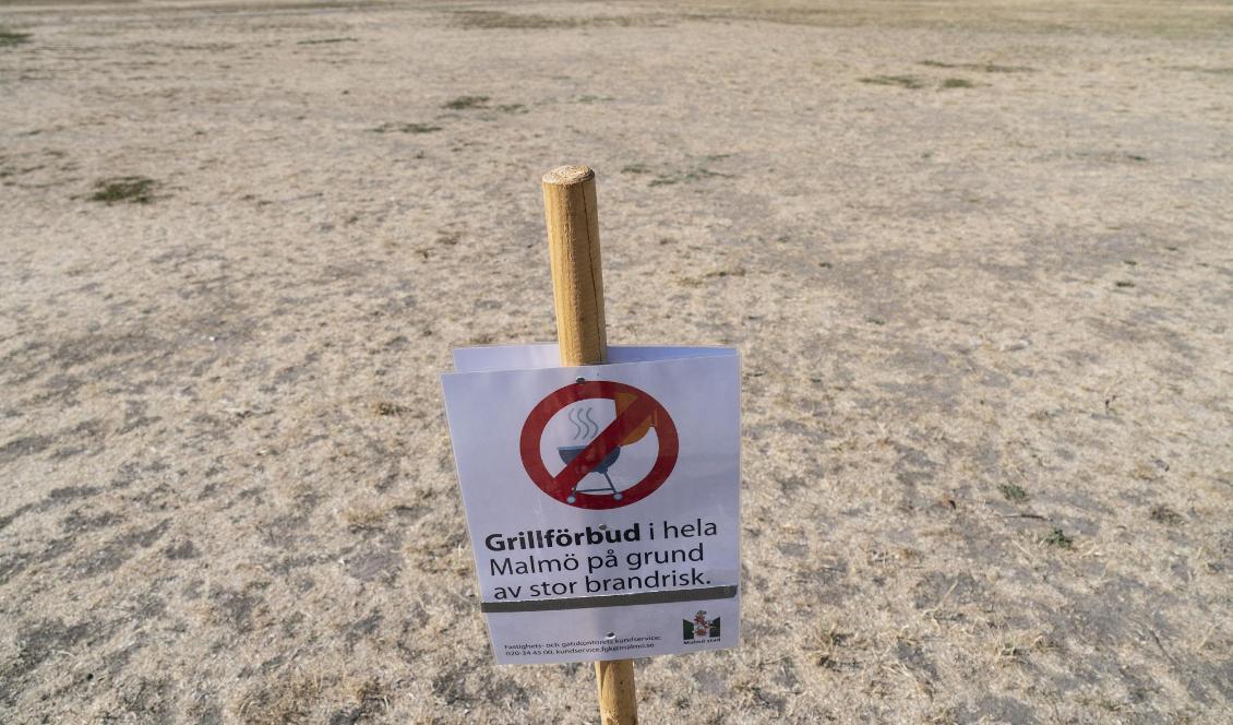 Under förra sommaren rådde det eldningsförbud i stora delar av landet. Nya riktlinjer ska göra förbuden mer enhetliga. Foto: Johan Nilsson/TT-arkivbild