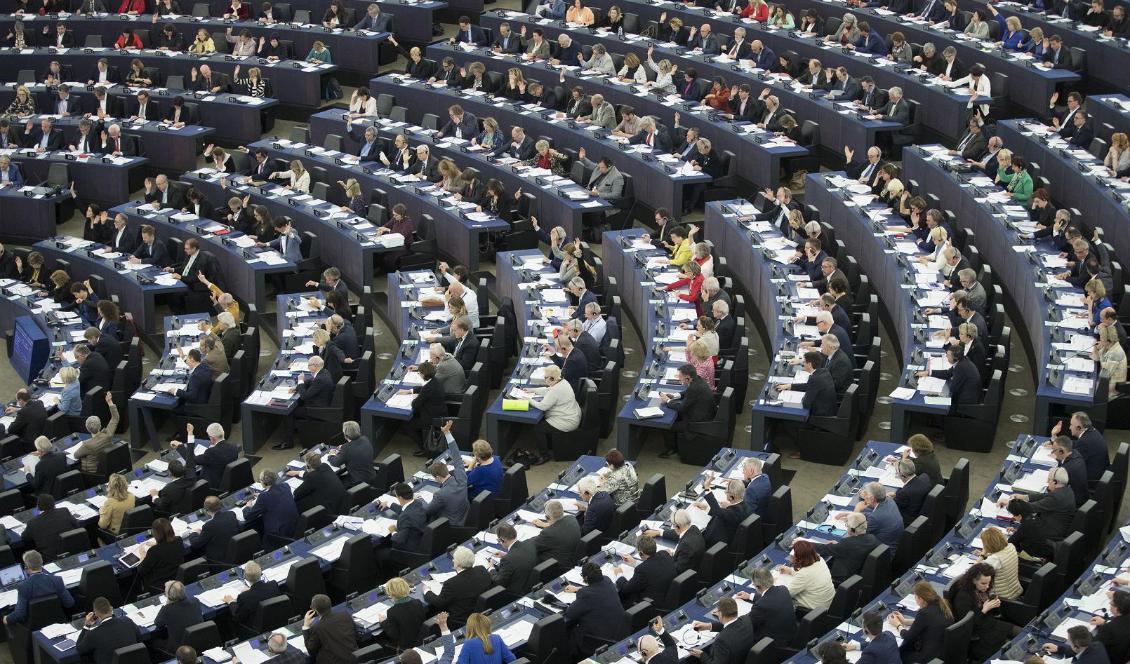 EU-parlamentets ledamöter i Strasbourg. Foto: Jean-Francois Badias/AP/TT-arkivbild