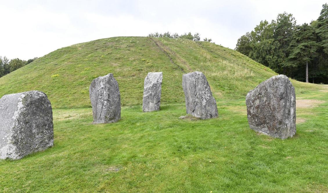 Fornminnesområdet Anundshög utanför Västerås omfattar gravhögar, skeppssättningar och runstenar. Foto: Fredrik Sandberg/TT-arkivbild