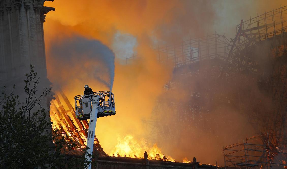 
En elektrisk kortslutning misstänks ha orsakat branden i katedralen Notre-Dame i Paris. Foto: Francois Mori/AP/TT                                                