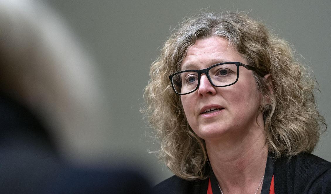 Kommissarie Åsa Berggren, chef på it-brottssektionen på polisen i region Syd. Foto: Johan Nilsson/TT