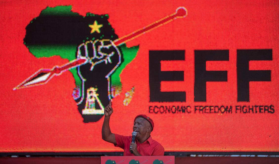 
Julius Malema, partiledare i sydafrikanska Economic Freedom Fighters vid ett tal på Orlando Stadium i Soweto i Johannesburg den 5 maj 2019. Foto: Michele Spatari/AFP/Getty Images                                                