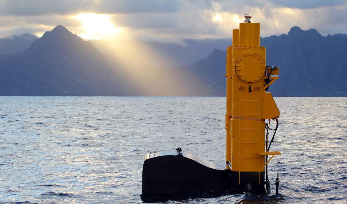 Havsbaserad energiproduktion kan antingen bygga på att ta tillvara vågkraft eller använda tidvatten och strömmar för att alstra el. Foto: Justin Klure Nortwest Energy Innovations/AP/TT-arkivbild